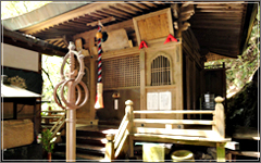 臨済宗妙心寺派 鳴滝山 圓明寺（円明寺）